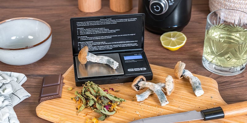 Un Petit Mot Sur Le Dosage Des Champignons Psilocybines