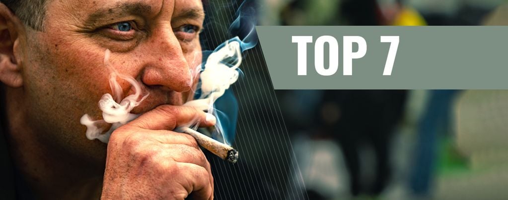 Variétés de Cannabis Motivation et Productivité
